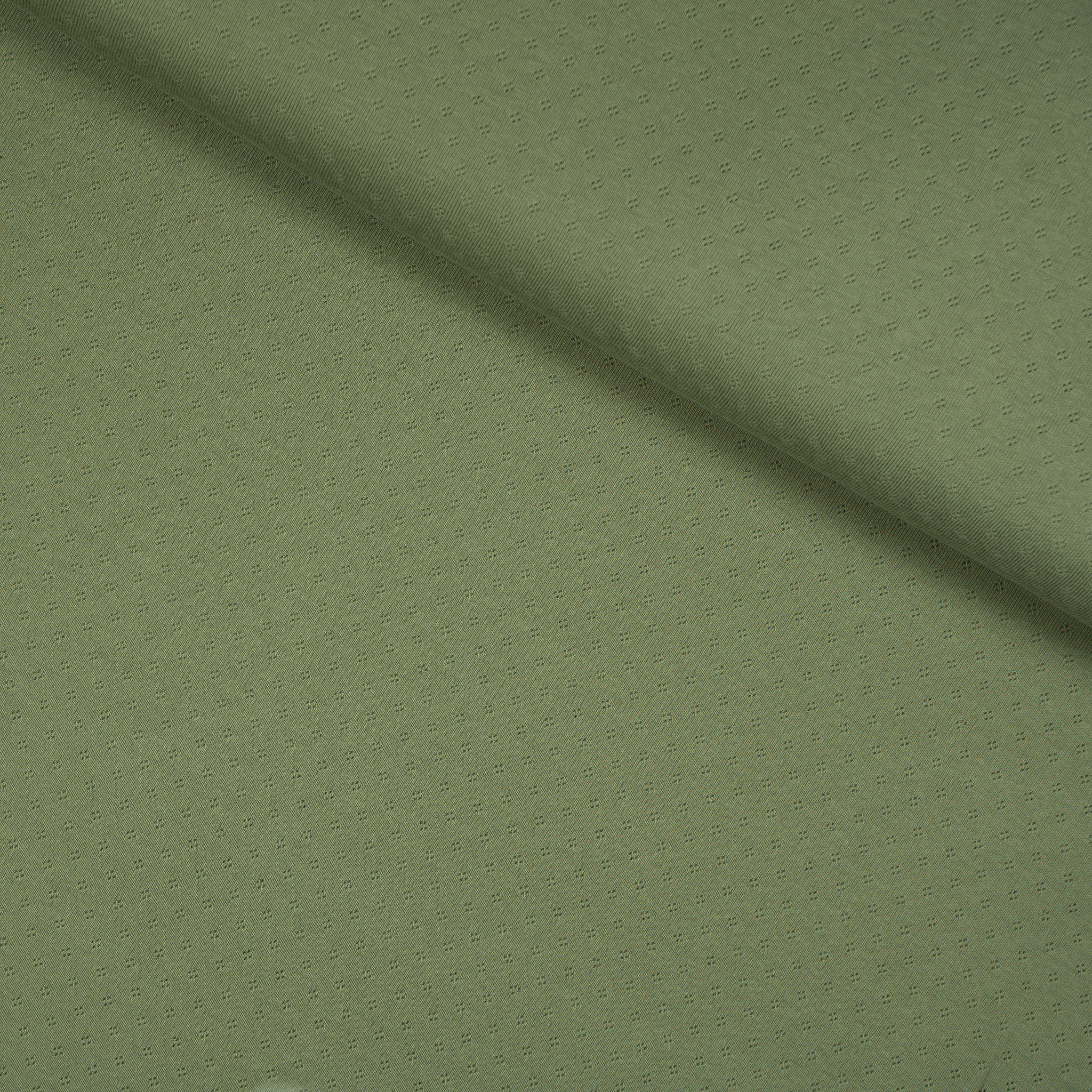 Pointoille Jersey Olive