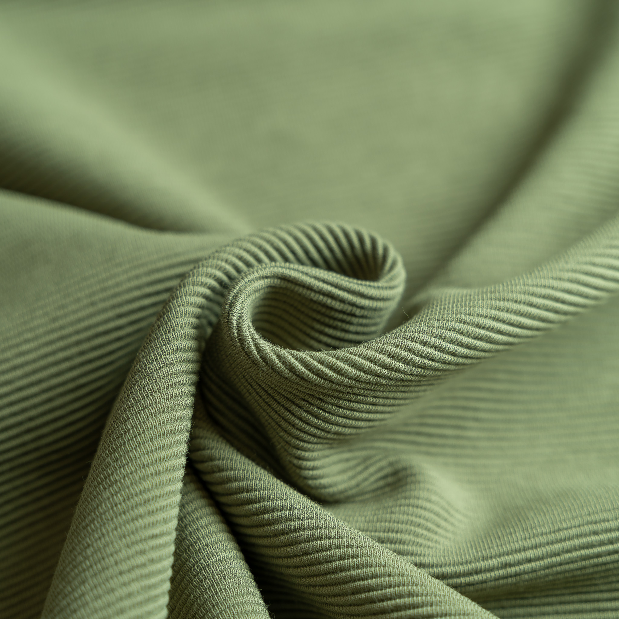 Ottoman Rib Jersey Olive